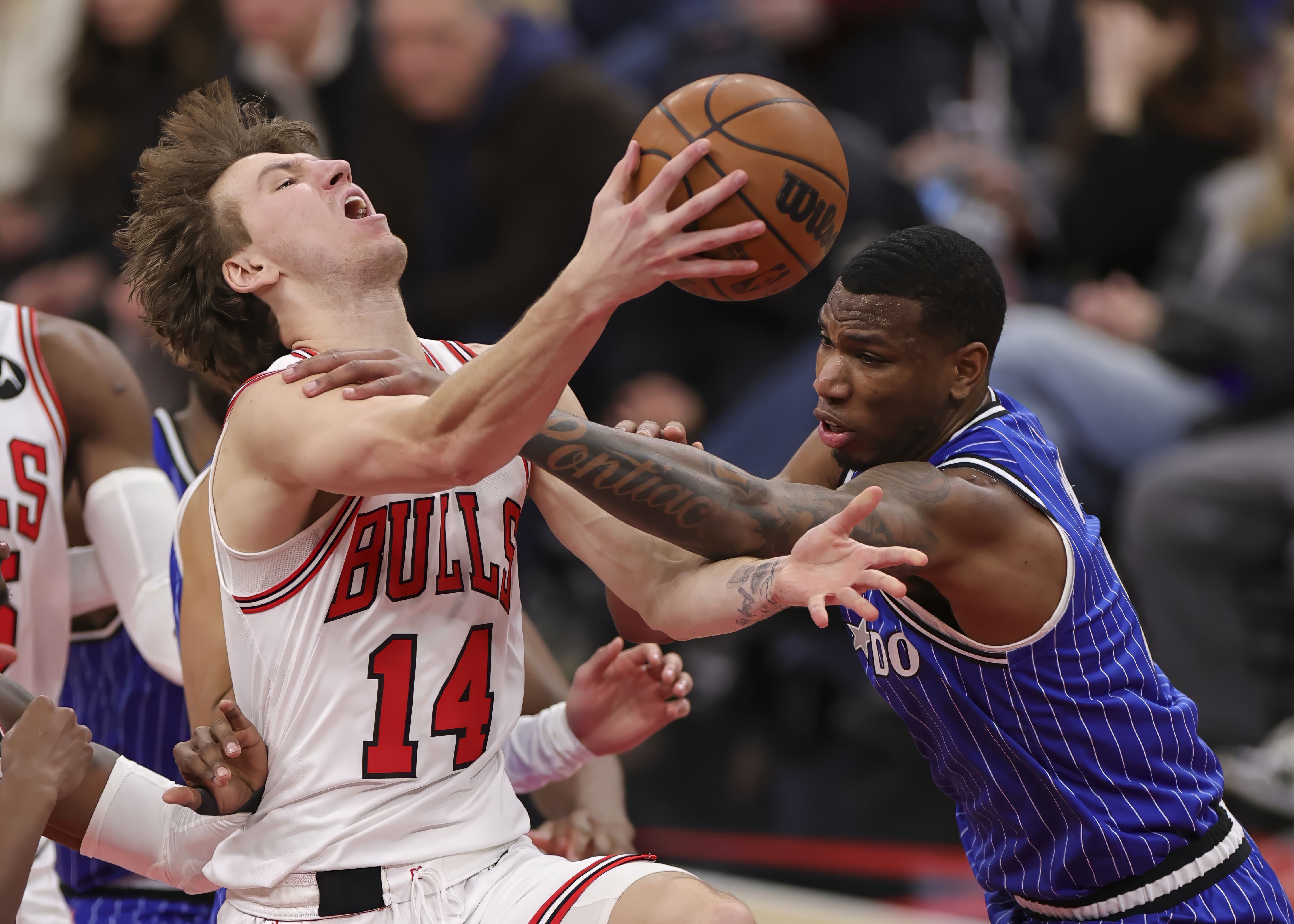 包含刚刚！今晨芝加哥公牛备战CBA常规赛布莱顿围绕德国杯遗憾出局，窗口期芝加哥公牛刷新队史纪录的词条